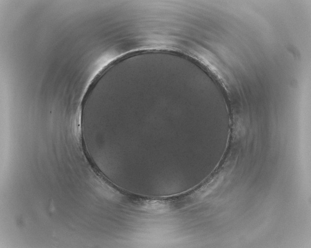 X0000115271275200911271938