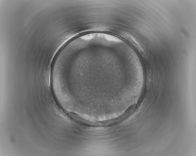 X0000115271276200911271938