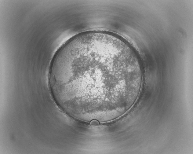 X0000115271277200911271938