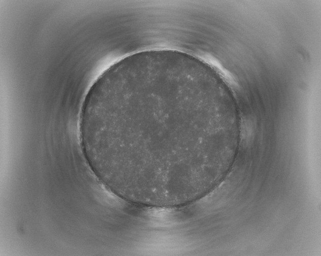 X0000115271278200911271938