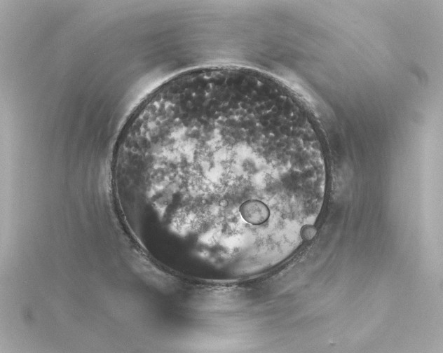 X0000115271279200911271938