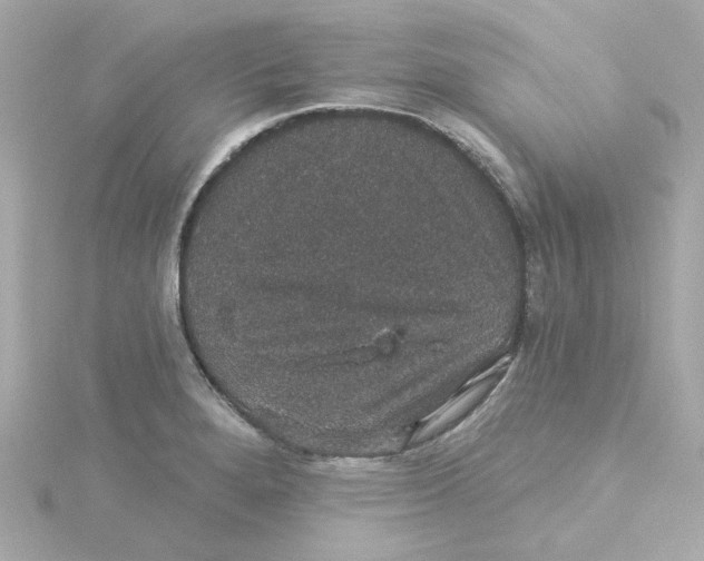 X0000115271280200911271938