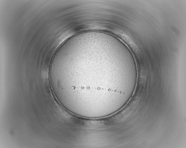 X0000115271281200911271938