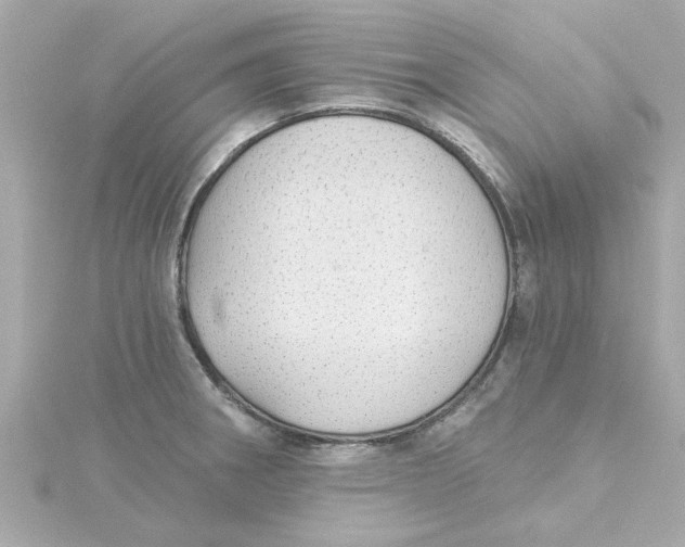 X0000115271282200911271938