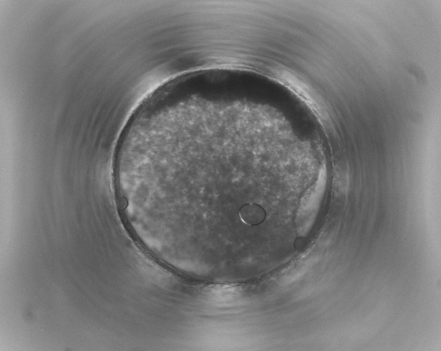 X0000115271283200911271938