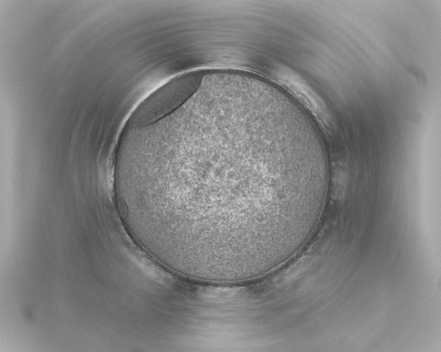 X0000115271284200911271938