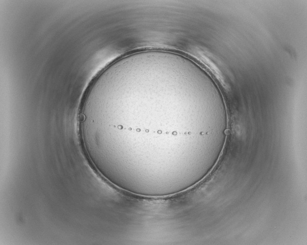 X0000115271285200911271938