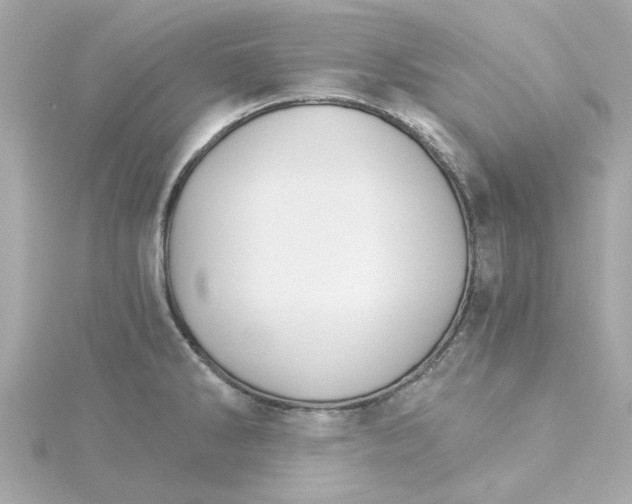 X0000115271286200911271938