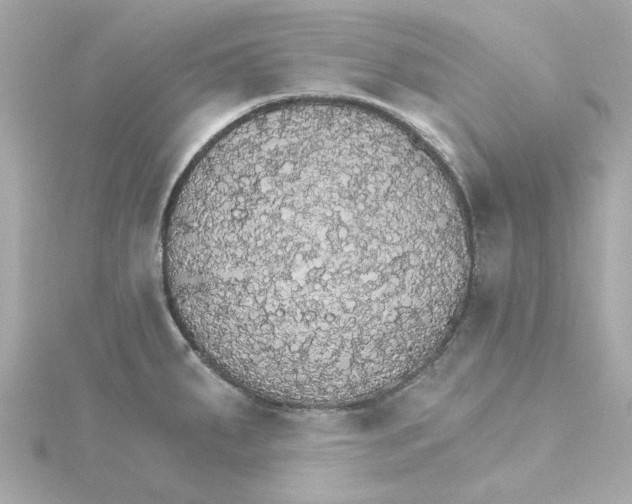 X0000115271287200911271938