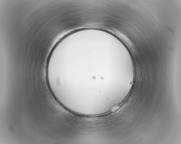 X0000115271288200911271938