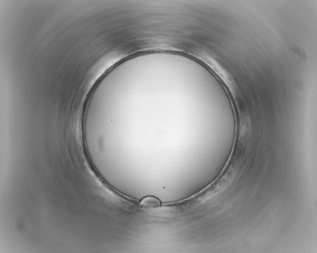 X0000115271293200911271938