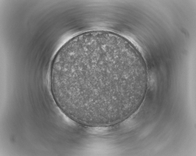 X0000115271294200911271938