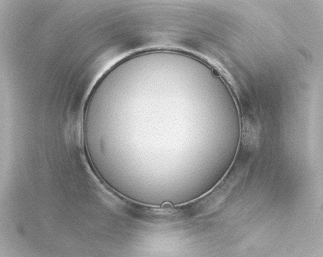 X0000115271295200911271938