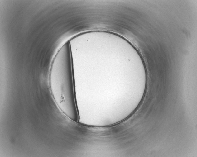 X0000115271296200911271938