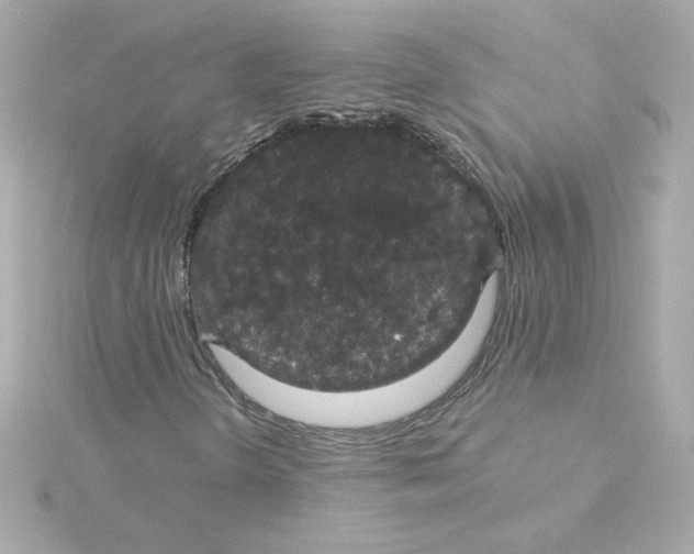 X0000115271298200911271937