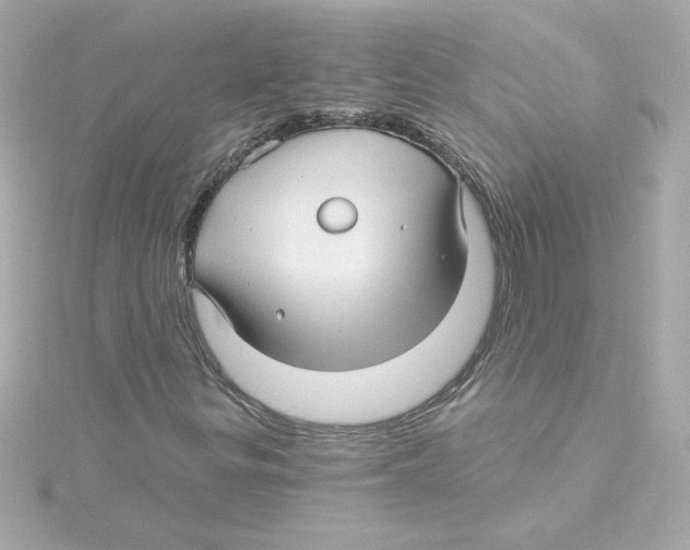 X0000115271299200911271937