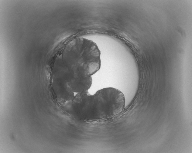 X0000115271302200911271937