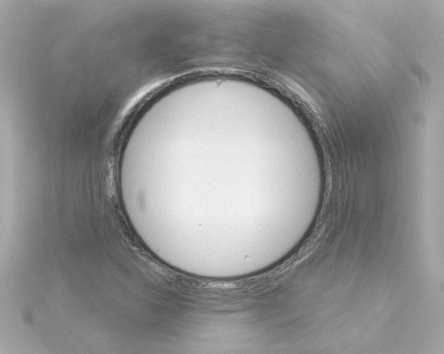 X0000115271310200911271937