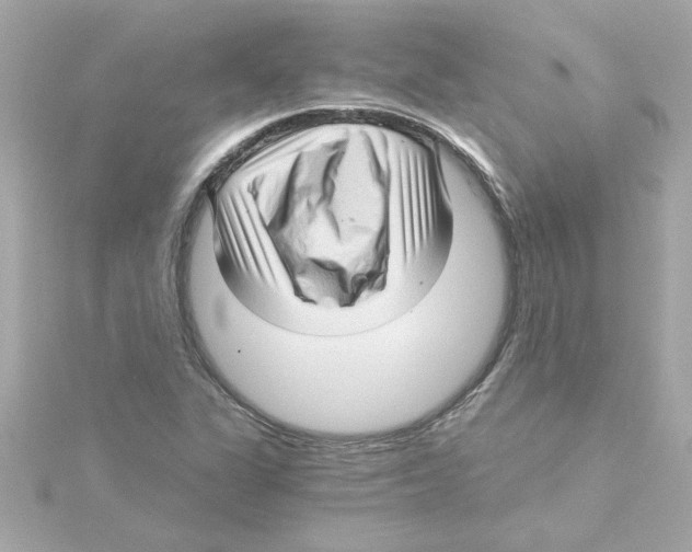 X0000115271311200911271938