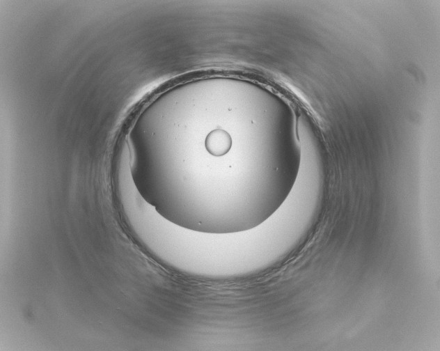 X0000115271315200911271938