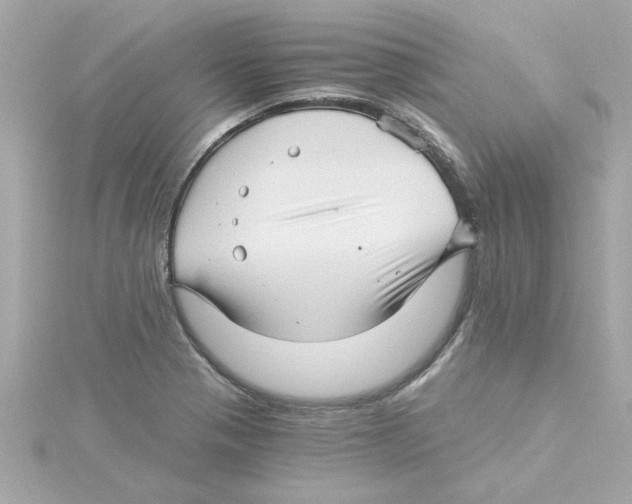 X0000115271321200911271938