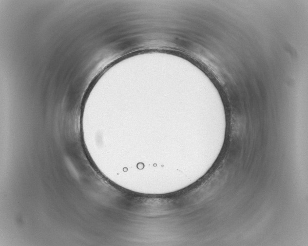 X0000115271322200911271938