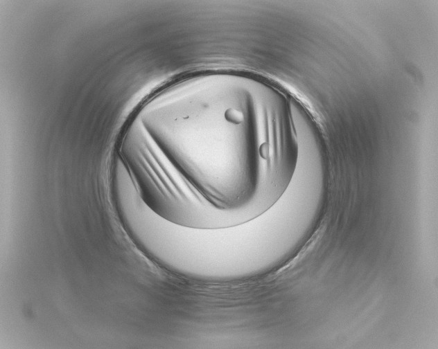 X0000115271325200911271938