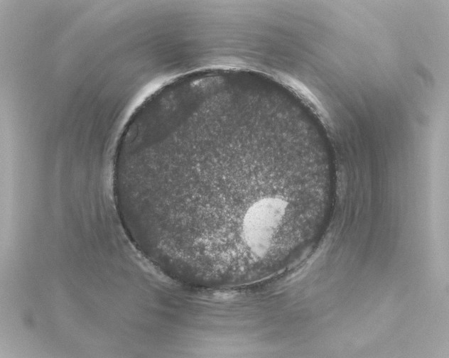 X0000115271326200911271938