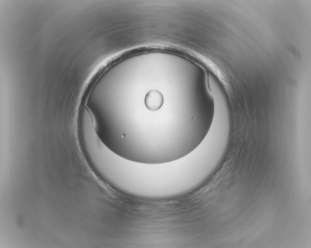 X0000115271327200911271938