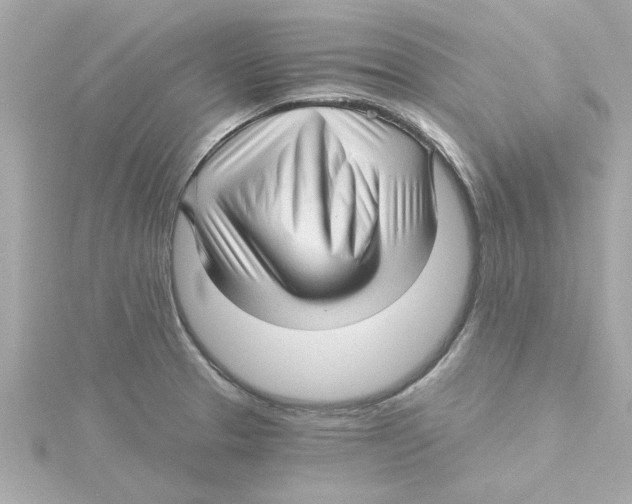 X0000115271329200911271938