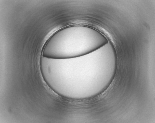 X0000115271330200911271938