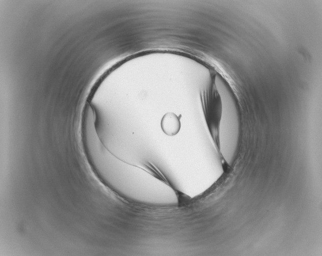 X0000115271331200911271938