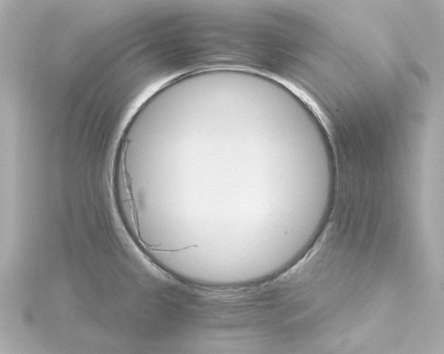 X0000115271333200911271938