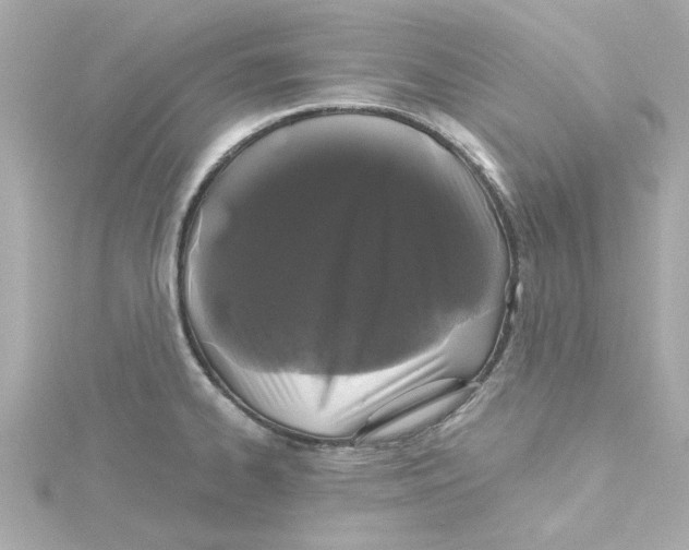 X0000115271334200911271938