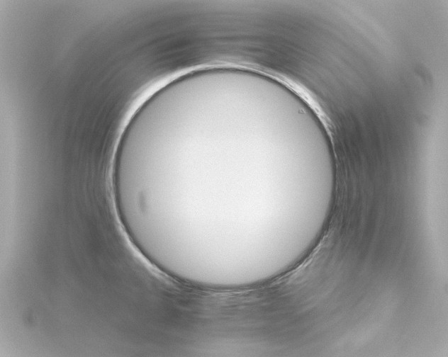 X0000115271335200911271938