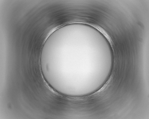 X0000115271337200911271938