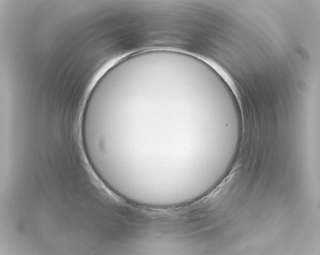 X0000115271341200911271938