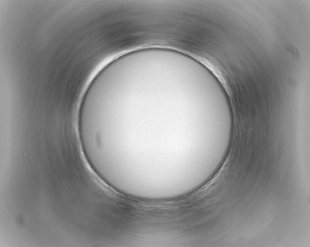 X0000115271342200911271938