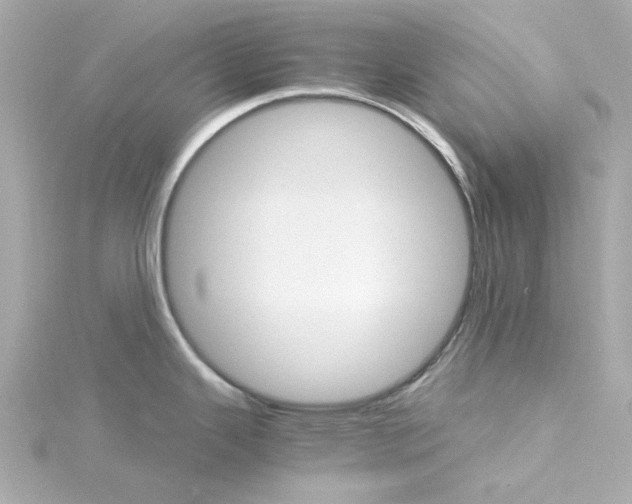 X0000115271343200911271938