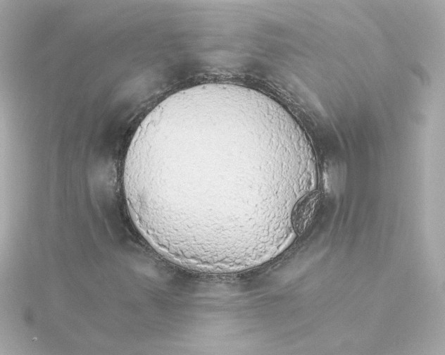 X0000115271347200911271937