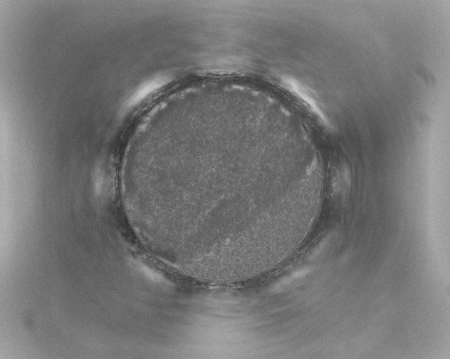 X0000115271350200911271937