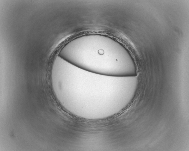 X0000115271352200911271937