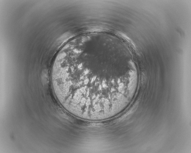 X0000115271353200911271937