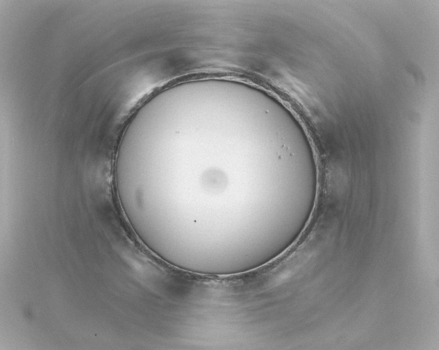 X0000115271355200911271937