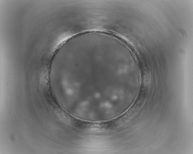 X0000115271359200911271937