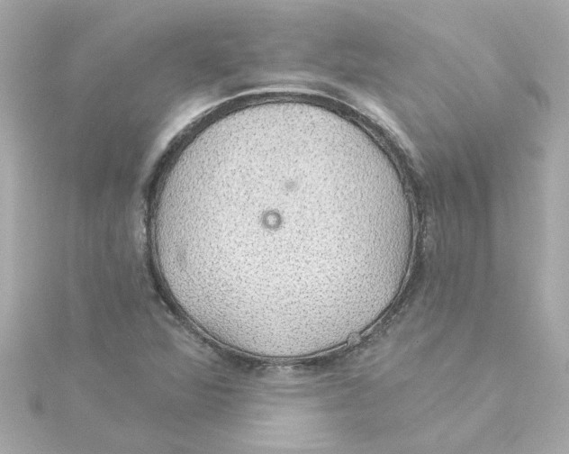 X0000115271360200911271937