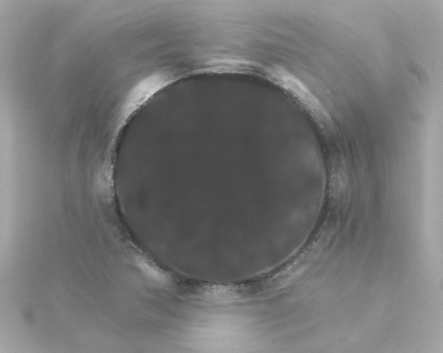 X0000115271362200911271937