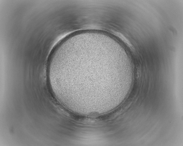 X0000115271364200911271937