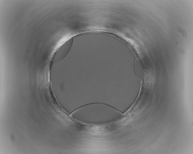 X0000115271365200911271937