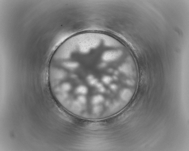 X0000115271367200911271937